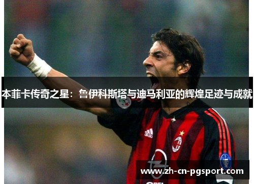 本菲卡传奇之星：鲁伊科斯塔与迪马利亚的辉煌足迹与成就