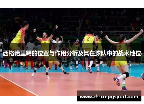 西格诺里踢的位置与作用分析及其在球队中的战术地位