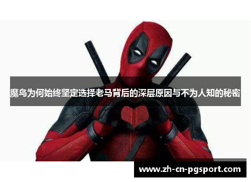 魔鸟为何始终坚定选择老马背后的深层原因与不为人知的秘密